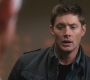 SPN_1164.jpg