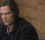 SPN_1173.jpg