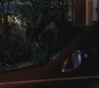 SPN_1265.jpg