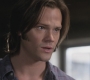SPN_0184.jpg