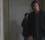 SPN_0242.jpg