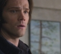 SPN_0272.jpg