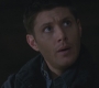 SPN_0334.jpg