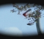 SPN_0592.jpg