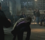 SPN_1153.jpg