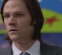 SPN_0468.jpg