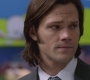 SPN_0477.jpg