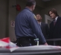 SPN_0249.jpg