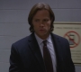 SPN_0294.jpg