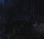 SPN_0128.jpg