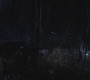 SPN_0129.jpg