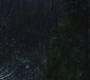 SPN_0130.jpg