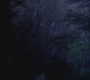 SPN_0138.jpg