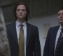 SPN_0183.jpg