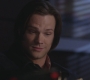SPN_0740.jpg