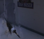 SPN_1089.jpg