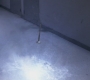SPN_1101.jpg