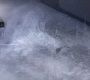SPN_1102.jpg