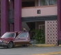 SPN_1265.jpg