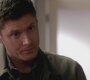SPN_0564.jpg