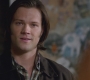 SPN_0684.jpg