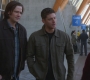 SPN_1378.jpg