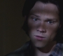 SPN_0458.jpg