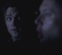 SPN_0088.jpg