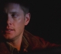 SPN_0095.jpg