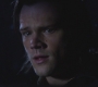 SPN_0110.jpg