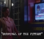 SPN_0114.jpg