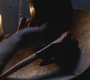 SPN_0595.jpg
