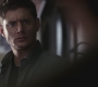 SPN_0944.jpg