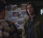 SPN_0261.jpg