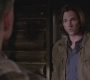 SPN_0285.jpg