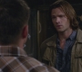 SPN_0370.jpg