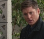SPN_0515.jpg