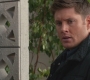 SPN_0516.jpg