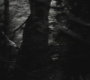 SPN_0519.jpg