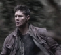 SPN_0522.jpg
