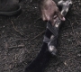 SPN_0552.jpg