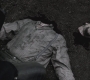 SPN_0569.jpg