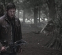SPN_0664.jpg