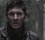 SPN_0704.jpg