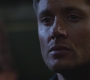SPN_0730.jpg