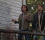 SPN_0865.jpg