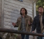 SPN_0866.jpg