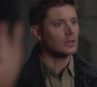 SPN_1030.jpg