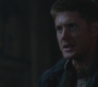 SPN_1169.jpg