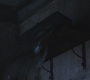 SPN_1296.jpg
